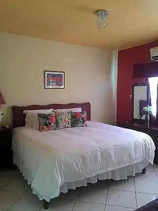 Villa Casa De Fe Montego Bay