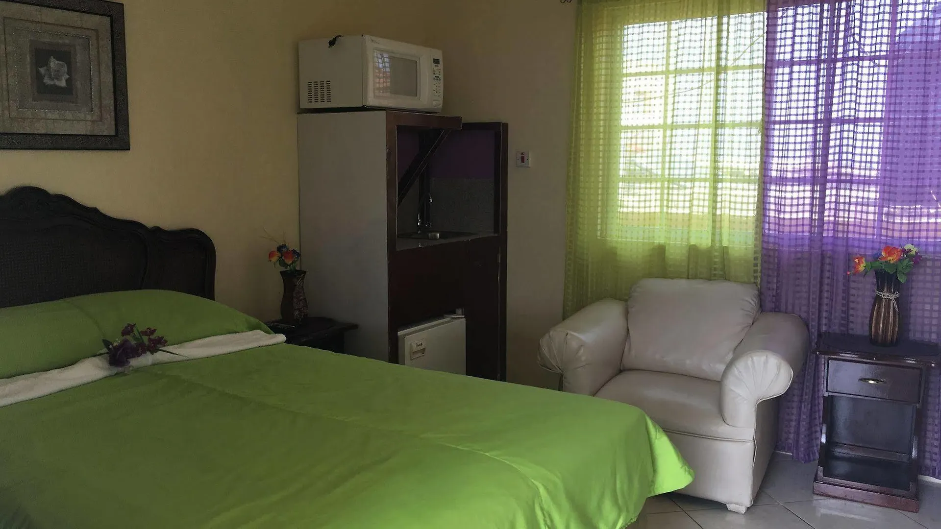 Villa Casa De Fe Montego Bay Guest house